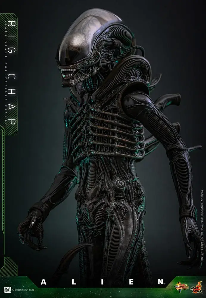 Alien figurine Movie Masterpiece 1/6 Big Chap – HOT TOYS – Image 4