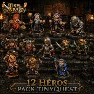 Pack 12 Héros TinyQuest