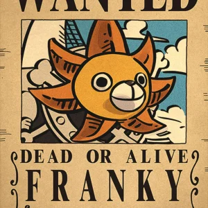 Affiche Wanted One Piece - Franky Sunny