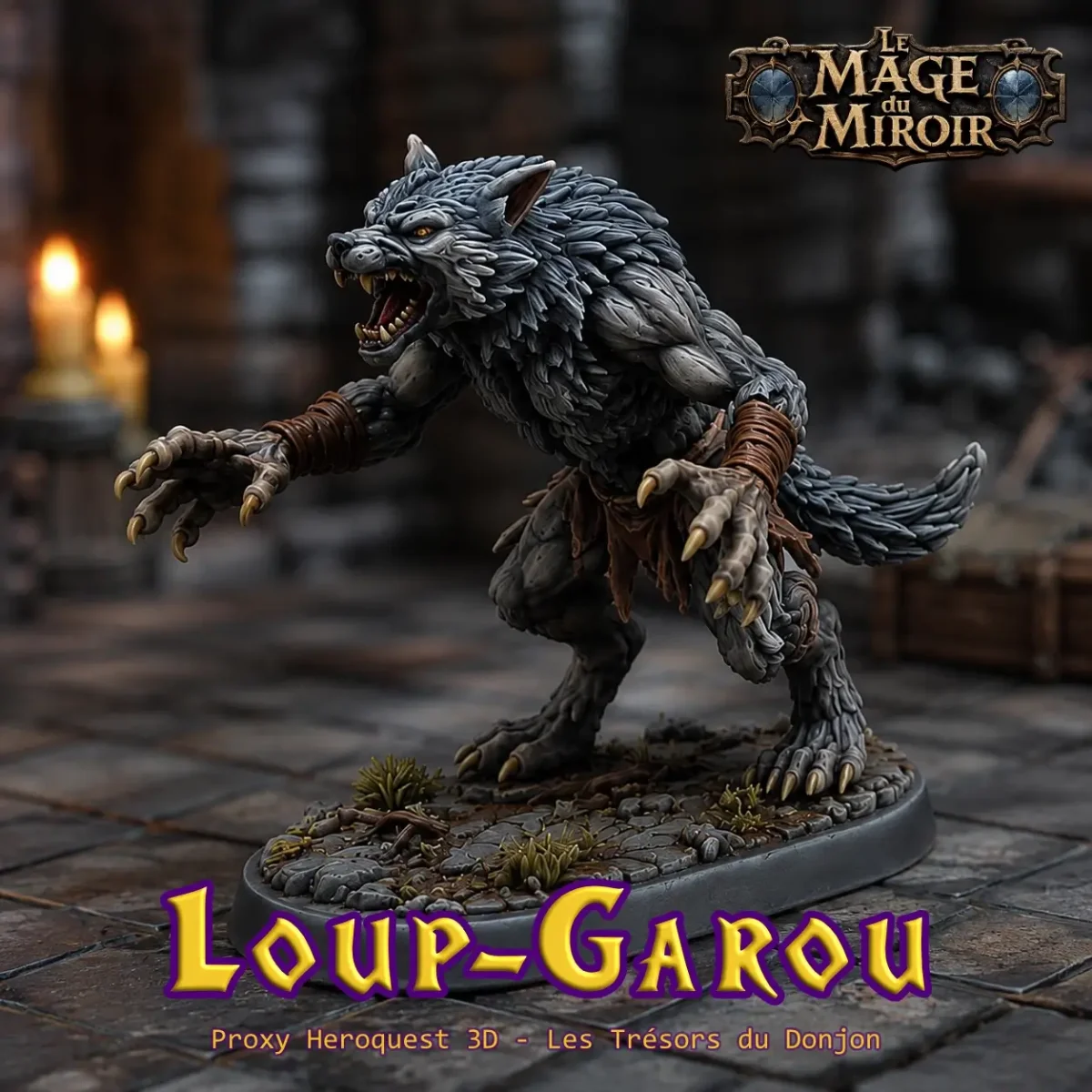 Loup-Garou – Proxy Le Mage du Miroir – Image 2