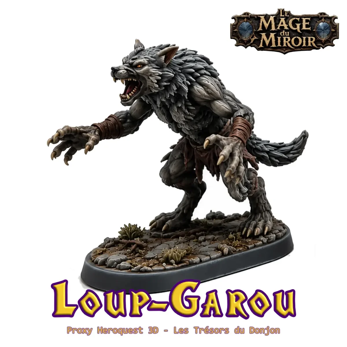 Loup-Garou – Proxy Le Mage du Miroir – Image 3