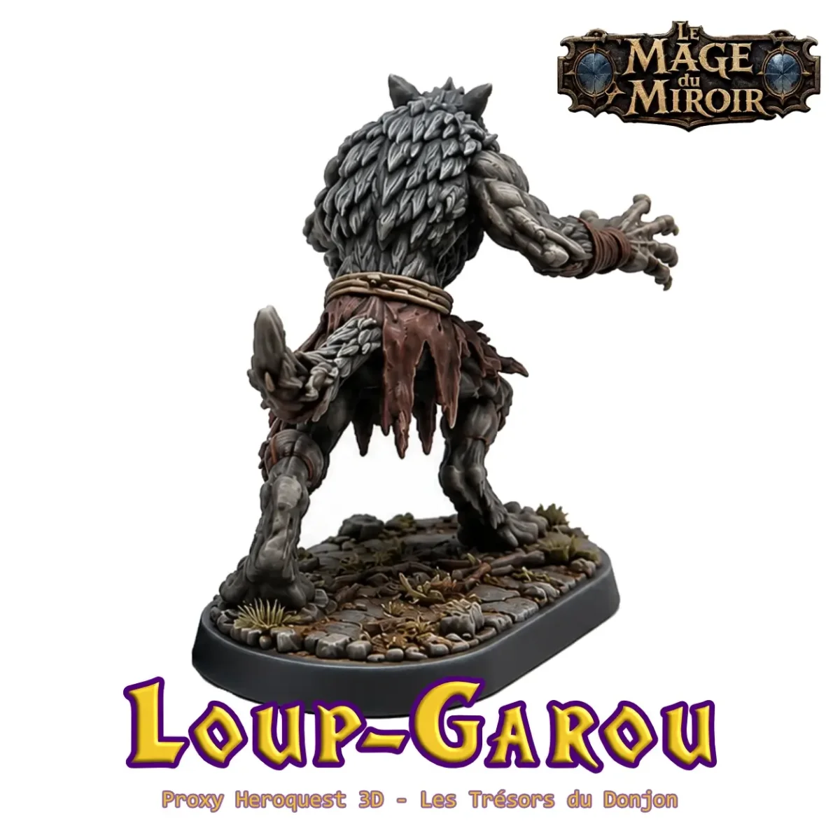 Loup-Garou – Proxy Le Mage du Miroir – Image 4